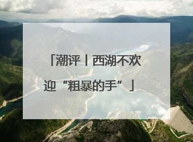 潮评丨西湖不欢迎“粗暴的手”