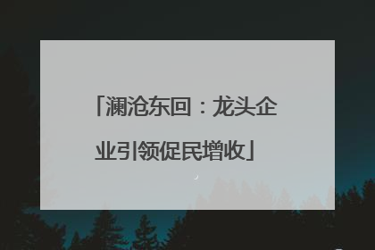 澜沧东回：龙头企业引领促民增收