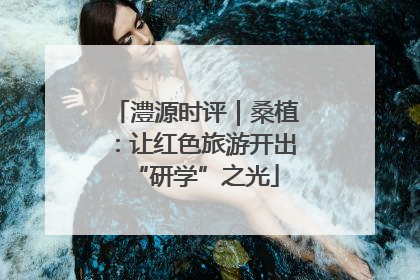 澧源时评｜桑植：让红色旅游开出“研学”之光