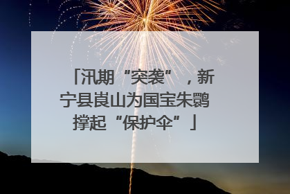 汛期“突袭”，新宁县崀山为国宝朱鹮撑起“保护伞”
