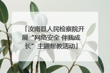 汝南县人民检察院开展“网络安全 伴我成长”主题帮教活动