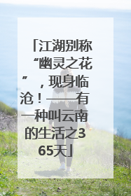 江湖别称“幽灵之花”，现身临沧！——有一种叫云南的生活之365天