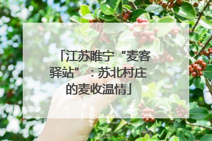 江苏睢宁“麦客驿站”：苏北村庄的麦收温情