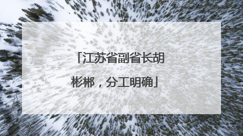 江苏省副省长胡彬郴，分工明确