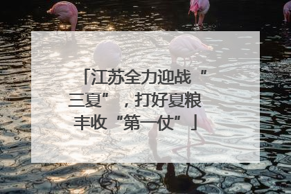 江苏全力迎战“三夏”，打好夏粮丰收“第一仗”