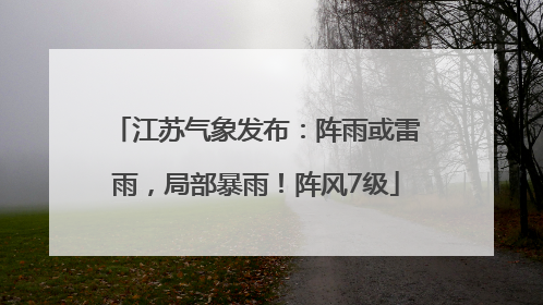 江苏气象发布：阵雨或雷雨，局部暴雨！阵风7级