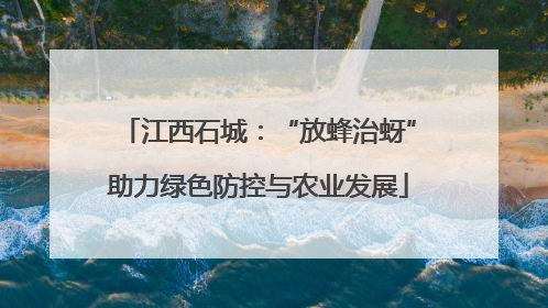 江西石城：“放蜂治蚜”助力绿色防控与农业发展