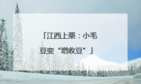 江西上栗：小毛豆变“增收豆”