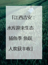 江西吉安：水库迎来生态捕鱼季 鱼跃人欢获丰收