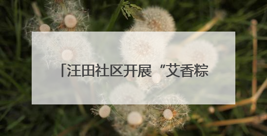 汪田社区开展“艾香粽情暖端午，敬老睦邻共安康”主题敬老活动