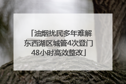 油烟扰民多年难解 东西湖区城管4次登门48小时高效整改
