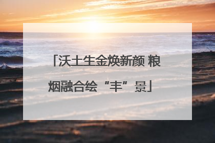 沃土生金焕新颜 粮烟融合绘“丰”景