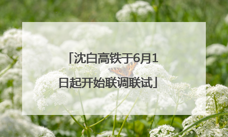 沈白高铁于6月1日起开始联调联试