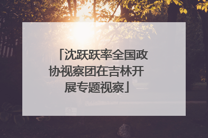 沈跃跃率全国政协视察团在吉林开展专题视察