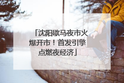 沈阳歇马夜市火爆开市！首发引擎点燃夜经济