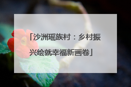 沙洲瑶族村：乡村振兴绘就幸福新画卷