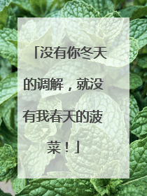 没有你冬天的调解，就没有我春天的菠菜！