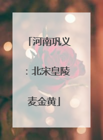 河南巩义：北宋皇陵麦金黄