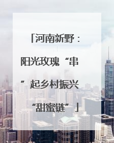 河南新野：阳光玫瑰“串”起乡村振兴“甜蜜链”