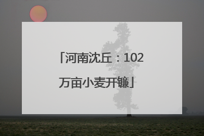 河南沈丘：102 万亩小麦开镰