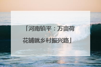 河南镇平：万亩荷花铺就乡村振兴路