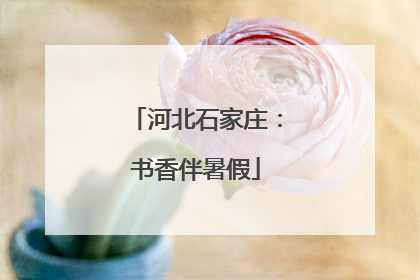 河北石家庄：书香伴暑假