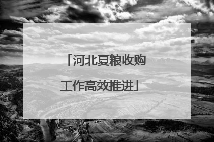 河北夏粮收购工作高效推进