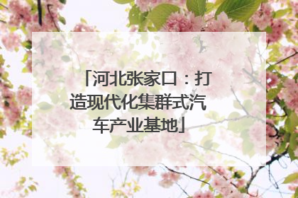 河北张家口：打造现代化集群式汽车产业基地
