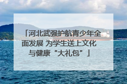 河北武强护航青少年全面发展 为学生送上文化与健康“大礼包”