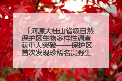河源大桂山省级自然保护区生物多样性调查获重大突破——保护区首次发现珍稀名贵野生干巴菌与钝尾两头蛇