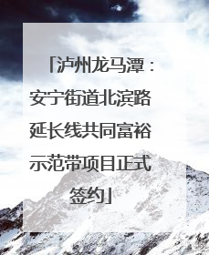 泸州龙马潭：安宁街道北滨路延长线共同富裕示范带项目正式签约