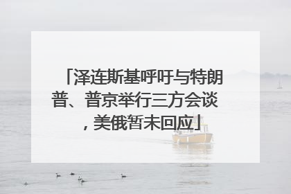 泽连斯基呼吁与特朗普、普京举行三方会谈，美俄暂未回应