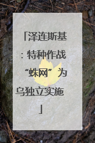 泽连斯基：特种作战“蛛网”为乌独立实施
