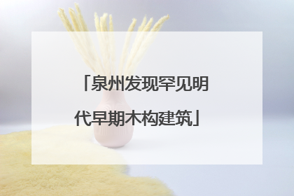 泉州发现罕见明代早期木构建筑