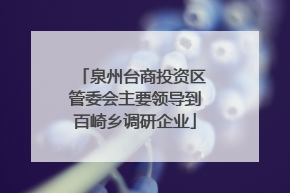 泉州台商投资区管委会主要领导到百崎乡调研企业