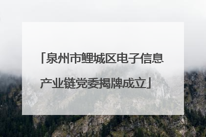 泉州市鲤城区电子信息产业链党委揭牌成立
