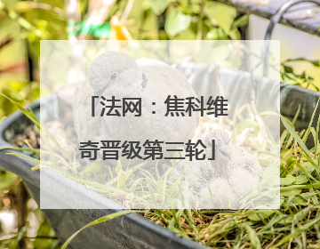 法网：焦科维奇晋级第三轮