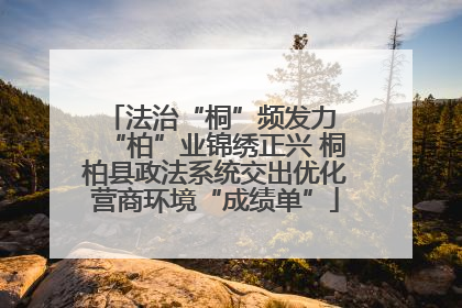 法治“桐”频发力 “柏”业锦绣正兴 桐柏县政法系统交出优化营商环境“成绩单”