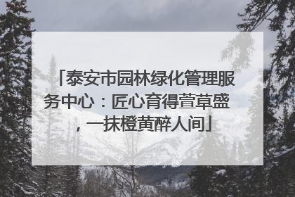 泰安市园林绿化管理服务中心：匠心育得萱草盛，一抹橙黄醉人间