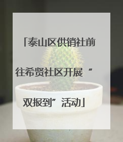 泰山区供销社前往希贤社区开展“双报到”活动