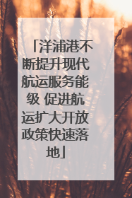 洋浦港不断提升现代航运服务能级 促进航运扩大开放政策快速落地