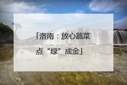 洛南：放心蔬菜点“绿”成金