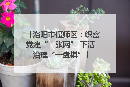 洛阳市偃师区：织密党建“一张网” 下活治理“一盘棋”