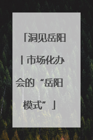 洞见岳阳丨市场化办会的“岳阳模式”