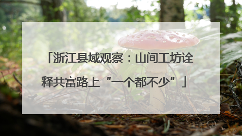 浙江县域观察：山间工坊诠释共富路上“一个都不少”