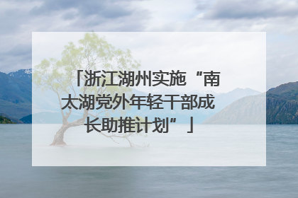 浙江湖州实施“南太湖党外年轻干部成长助推计划”