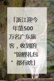 浙江迎今年第500万名广东旅客，收到的“锦鲤礼包”都有啥