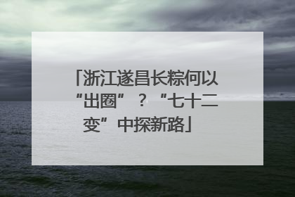 浙江遂昌长粽何以“出圈”？“七十二变”中探新路