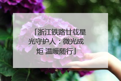浙江铁路廿载星光守护人：微光成炬 温暖随行