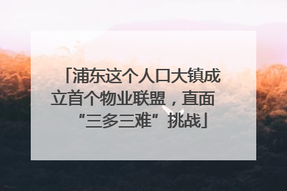 浦东这个人口大镇成立首个物业联盟，直面“三多三难”挑战